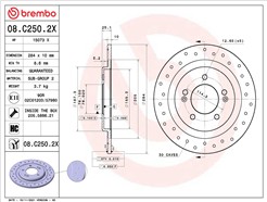 BREMBO 08.C250.2X