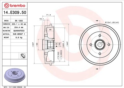 BREMBO 14.E309.50 EAN: 8020584326039.