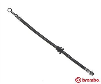 BREMBO T 10 003 EAN: 8432509648018.