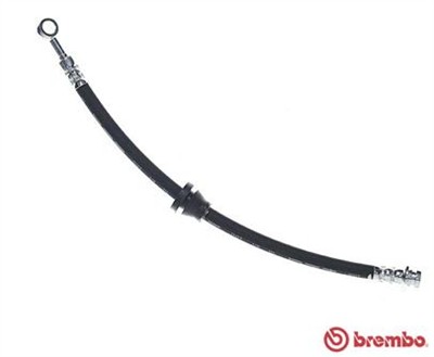 BREMBO T 10 018 EAN: 8432509654927.