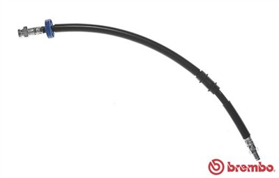BREMBO T 23 202 EAN: 8432509648544.