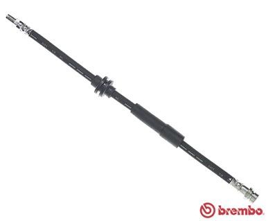 BREMBO T 24 120 EAN: 8432509648599.