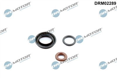 Dr.Motor Automotive DRM02289 EAN: 5904639635594.