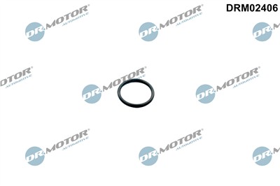 Dr.Motor Automotive DRM02406 EAN: 5904639635952.
