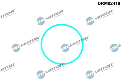 Dr.Motor Automotive DRM02418 EAN: 5904639637642.