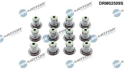Dr.Motor Automotive DRM02509S EAN: 5904639638274.