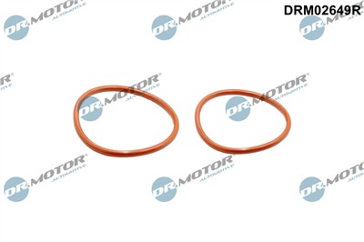 Dr.Motor Automotive DRM02649R EAN: 5904639639967.