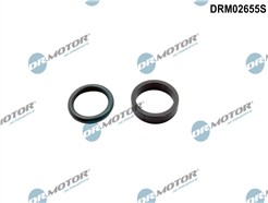 Dr.Motor Automotive DRM02655S