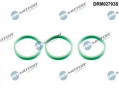 Dr.Motor Automotive DRM02793S