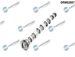 Dr.Motor Automotive DRM02867