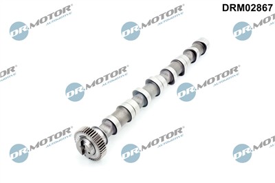 Dr.Motor Automotive DRM02867 EAN: 5904639645920.