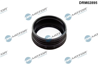Dr.Motor Automotive DRM02895 EAN: 5904639646200.