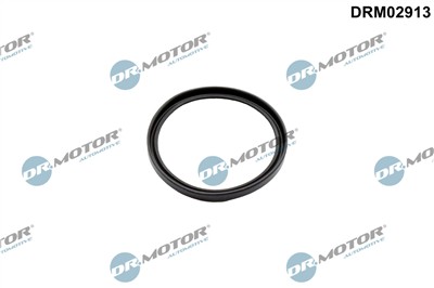 Dr.Motor Automotive DRM02913 EAN: 5904639646378.