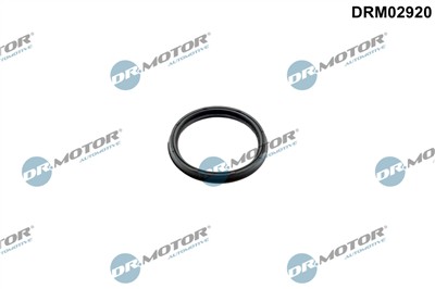 Dr.Motor Automotive DRM02920