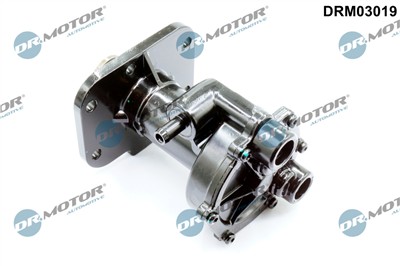 Dr.Motor Automotive DRM03019 EAN: 5904639648242.