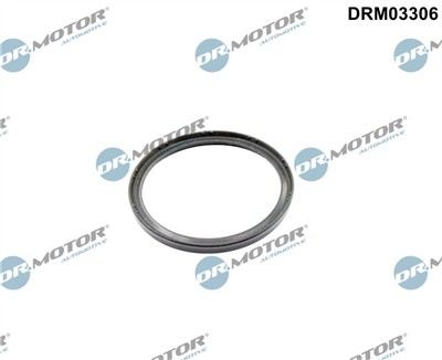 Dr.Motor Automotive DRM03306 EAN: 5904639656520.