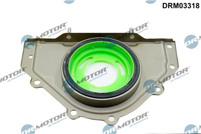 Dr.Motor Automotive DRM03318 EAN: 5904639656704.