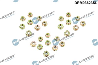 Dr.Motor Automotive DRM03623SL EAN: 5904639665867.