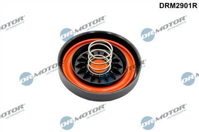 Dr.Motor Automotive DRM2901R EAN: 5904639652577.