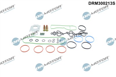 Dr.Motor Automotive DRM300213S EAN: 5904639653673.