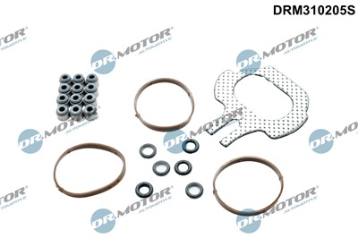 Dr.Motor Automotive DRM310205S EAN: 5904639655271.
