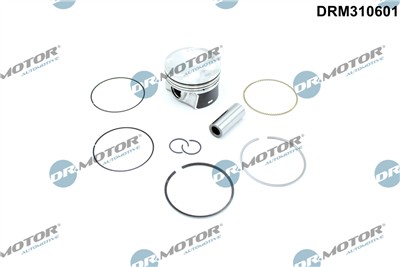 Dr.Motor Automotive DRM310601 EAN: 5904639666345.
