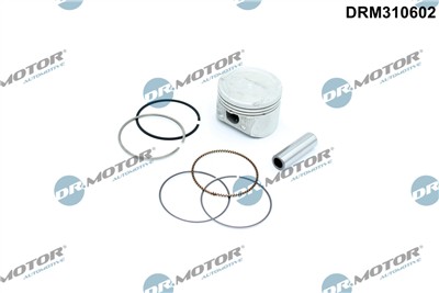 Dr.Motor Automotive DRM310602 EAN: 5904639666352.