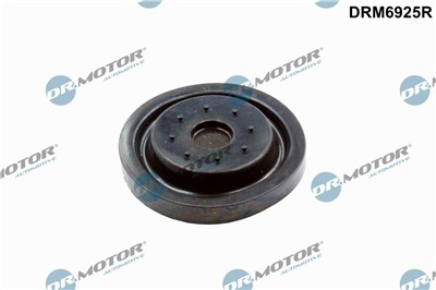 Dr.Motor Automotive DRM6925R EAN: 5904639632159.