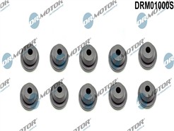 Dr.Motor Automotive DRM01000S