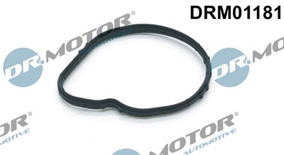Dr.Motor Automotive DRM01181 EAN: 5903672748681.