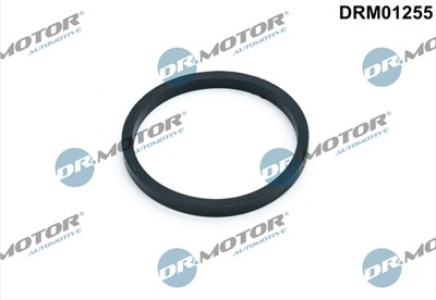 Dr.Motor Automotive DRM01255 EAN: 5904639600677.