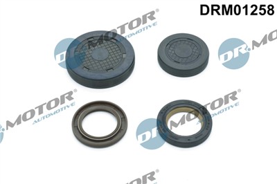 Dr.Motor Automotive DRM01258 EAN: 5904639600707.