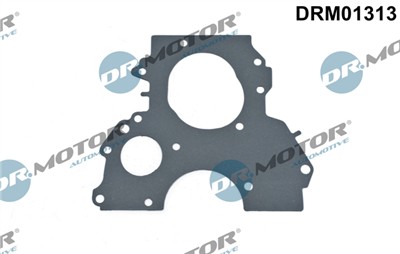 Dr.Motor Automotive DRM01313 EAN: 5904639602022.