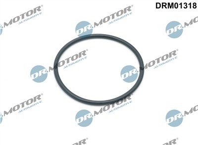 Dr.Motor Automotive DRM01318 EAN: 5904639602084.