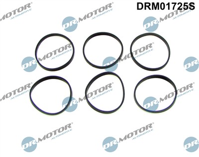 Dr.Motor Automotive DRM01725S EAN: 5904639608055.