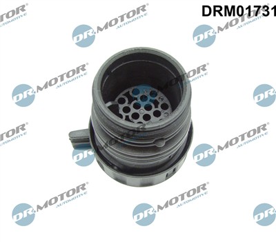 Dr.Motor Automotive DRM01731 EAN: 5904639608116.
