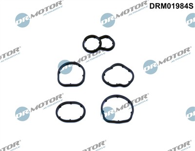 Dr.Motor Automotive DRM01984S EAN: 5904639632531.
