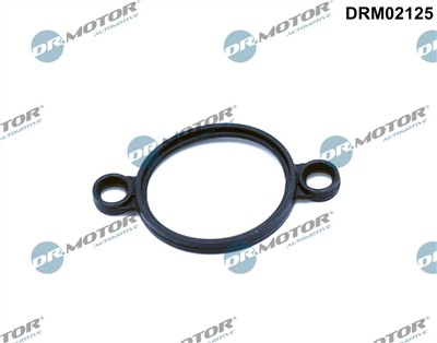 Dr.Motor Automotive DRM02125 EAN: 5904639626356.