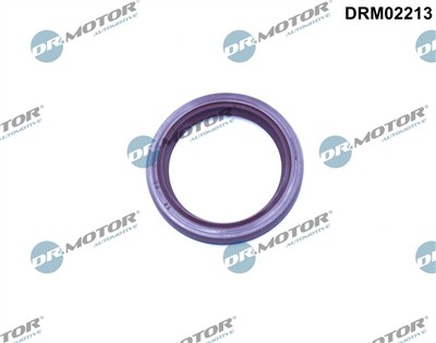 Dr.Motor Automotive DRM02213 EAN: 5904639632616.