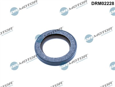 Dr.Motor Automotive DRM02228 EAN: 5904639635259.