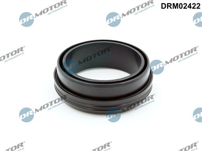 Dr.Motor Automotive DRM02422 EAN: 5904639641298.