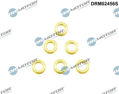 Dr.Motor Automotive DRM02456S EAN: 5904639637673.