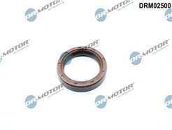 Dr.Motor Automotive DRM02500