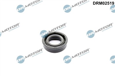 Dr.Motor Automotive DRM02519 EAN: 5904639638373.