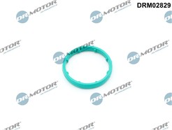 Dr.Motor Automotive DRM02829