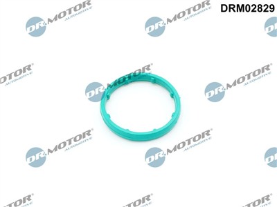 Dr.Motor Automotive DRM02829 EAN: 5904639645722.