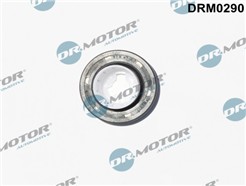 Dr.Motor Automotive DRM0290