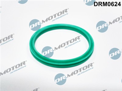 Dr.Motor Automotive DRM0624 EAN: 5902425079669.