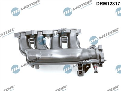 Dr.Motor Automotive DRM12817 EAN: 5904639623966.