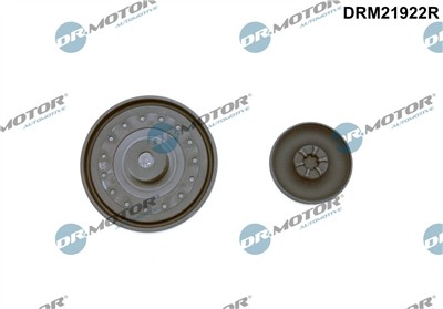 Dr.Motor Automotive DRM21922R EAN: 5904639633828.